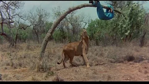 Lion Attack 😱😱 | The gods Must Be Crazy💥💯 | See how he survived