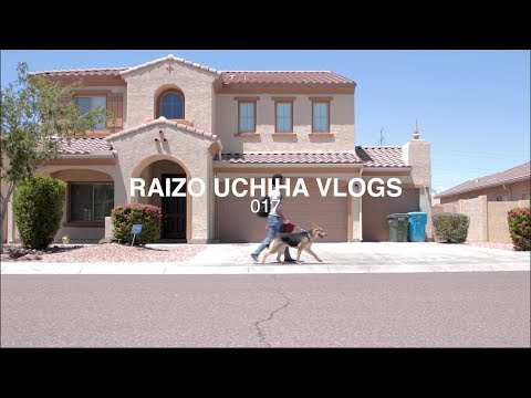 vlog_017: The Dog Park