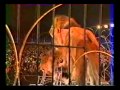 18 international circus fest. Monaco 1994