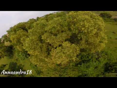 SPLIT S HALF MATTY FLIP // FPV FREESTYLE INDONESIA