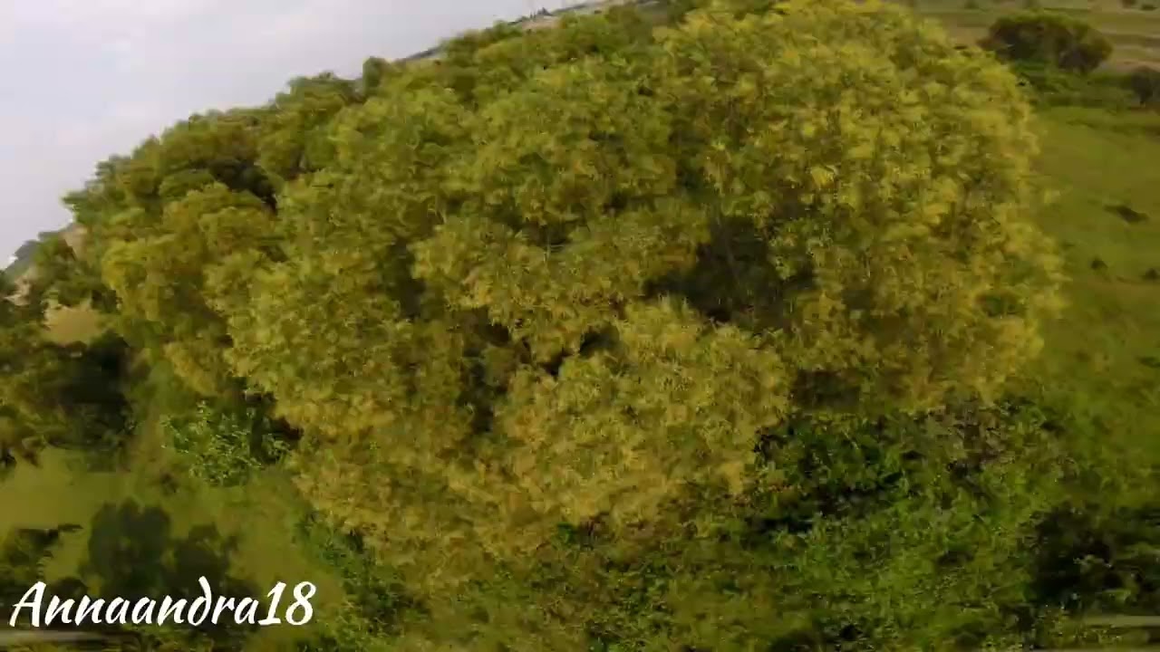SPLIT S HALF MATTY FLIP // FPV FREESTYLE INDONESIA