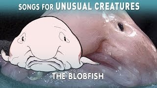 Blobfish, facts and information