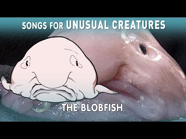 Behold the Blobfish, Science