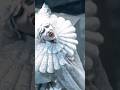 Gary Oldman's Dracula is work of art!