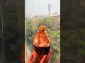 cup cake caramel popcorn and Oreo cupcake and rasmalai cupcake also chocolate cupcakes