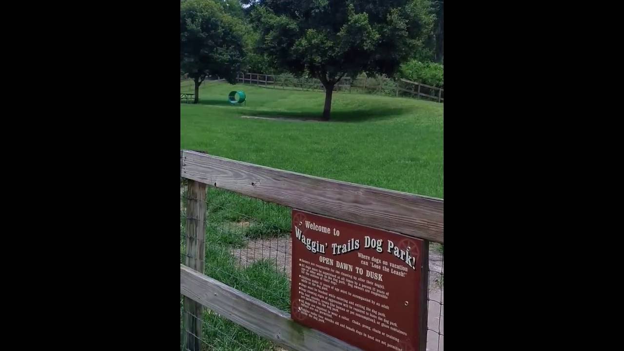 waggin tails bark park