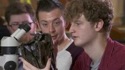 Teaching at Leicester