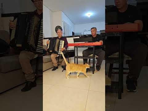 Marcos Miranda e Gauchito A minha alma deseja ver-te #Ccbhinos