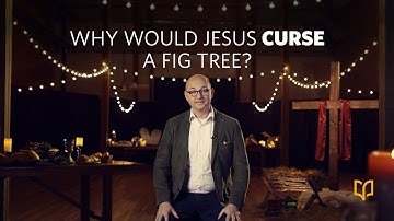 Why Would Jesus Curse A Fig Tree?