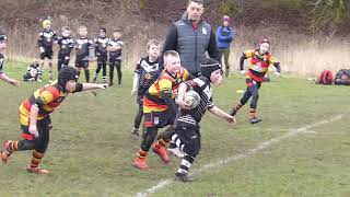 Panthers Difficult To 'Bring Down' By Pilks Hoops U8s