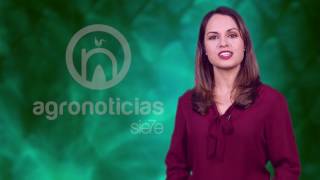 TITULARES AGRONOTICIAS sie7e PROGRAMA 36