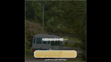 سعد الغامدي | حالات واتس اب دينية سورة البقرة 🥺🦋