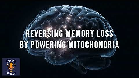 Reversing memory loss by powering mitochondria