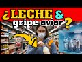 Alerta leche de supermercados en eeuu contaminada por el virus de la gripe aviar 