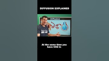 Diffusion Explained for Future Respiratory Therapists