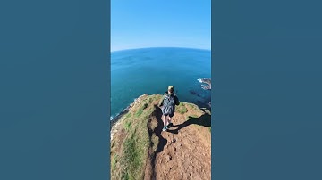No Drone? No Problem with the Insta360 X5