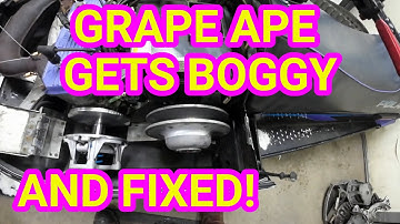 The Grape Ape came home from Braapfest with a Bog. What did I do about it? Polaris XLT 600 Triple