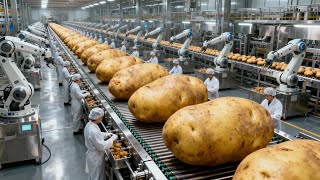 Inside a Modern Potato Chip Factory: From Whole Potatoes to Perfectly Crispy Snacks (Full Process)