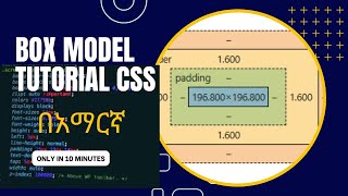 Part 8: CSS Box Model property in Amharic