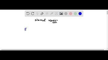 A person stands on a bath room scale in a motionless elevator. When the elevator begins to move , t…