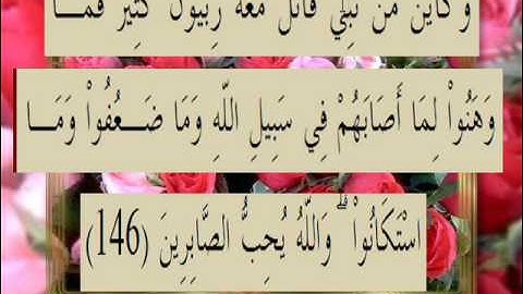 القران الكريم سورة آل عمران الأية 146