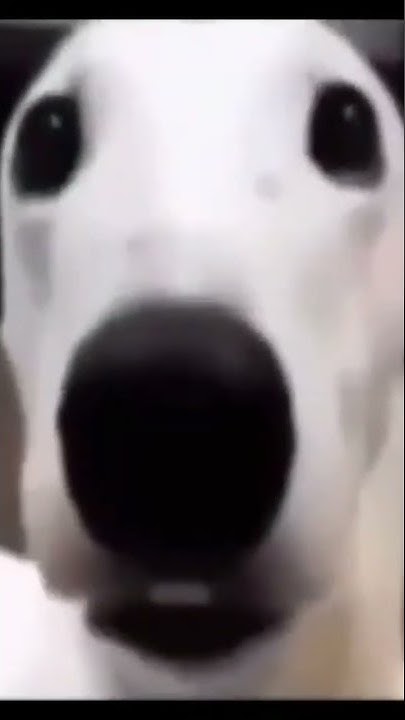 TIK TOK THAT MADE YOU CRY