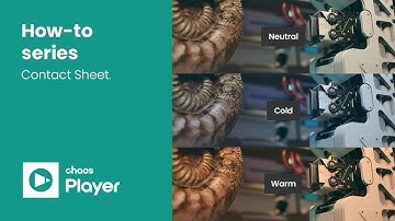 Chaos Player - Working with Contact Sheets