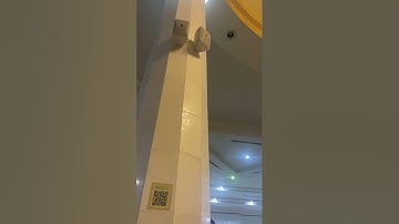 أواخر سورة النساء ~ القارئ عبدالرحمن العليان ~ ليلة ٨ رمضان ١٤٤٥هـ