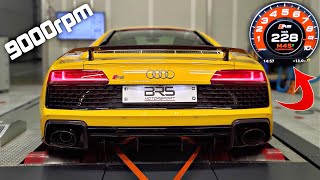 2020 Audi R8 Performance with Stage 1 Ecu & Capristo X-Pipe | 9000rpm SCREAMING on the DYNO 🔥