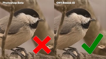 Photoshop Beta vs Resize AI 2026: Who Wins the 4X Test?