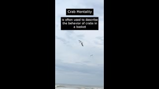 Psychology Facts - Crab Mentality#shorts