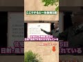 【注文住宅】ここケチると一生後悔します...