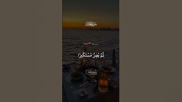 الآية 8 من سورة الجاثية  تلاوة جميلة وعاطفية للقرآن الكريم  تلاوة خاشعة بصوت جميل تهز القلوب