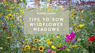 10 tips for sowing a WILDFLOWER MEADOW (yes, I am planting another one!) 🌱🐝💛