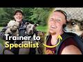 How Dog Trainers Can Specialize in Service Dog Work