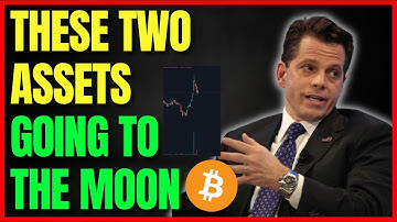 Bitcoin Is Amazon, ALGO Google Scaramucci Crypto Interview