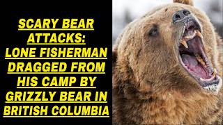 Scary Bear Attacks: Lone Fisherman Dragged From His Camp By Grizzly Bear In British Columbia