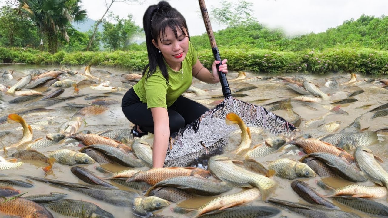 Caught a lot of fish in ponds abandoned for many years and brought them to the market to sell