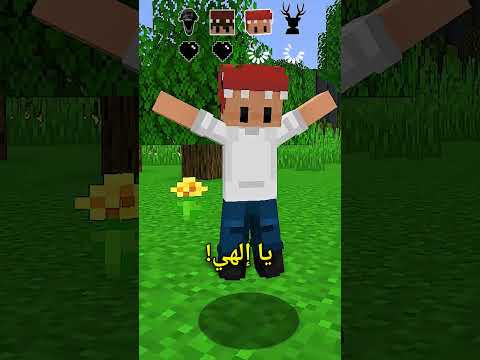 ماسح قلب الجنية من سي نفى في 99 ليلة 