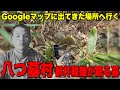 津山30人殺し事件 Googleマップに出てくる 都井睦雄のお墓へ行ってみた【八つ墓村 】