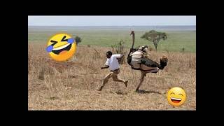 FUNNIEST VIDEOS EVER || TRY NOT TO LAUGH IMPOSSIBLE