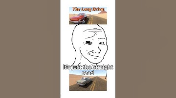 Why this game is so huge? #indiegame #devlog #funny #thelongdrivegame #thelastflightgame