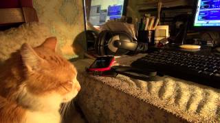 Jaak Joala - Sild üle vaevavete; Soojus