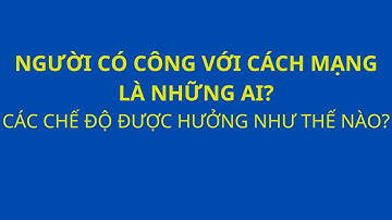 Người có công với cách mạng là những ai? được hưởng những chế độ gì?