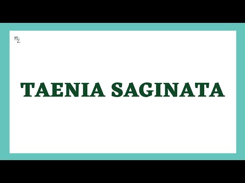 Taenia saginata | Lifecycle, pathogenesis, lab diagnosis | Beef Tapeworm | Taeniasis | MEDZUKHRUF