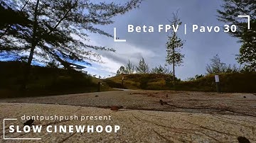Pavo30 Analog Slow Cinewhoop | Insta360 Go 2