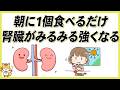 【腎臓が若返る】腎機能がみるみる回復する最強の朝食材