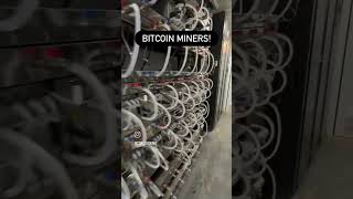 Yeh Hai Asli Bitcoin Mining Farm! 😱 Huge Setup #bitcoin