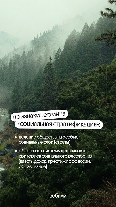 ШПОРА для 18 задания | ЕГЭ по обществознанию #егэ #шпоры #вебиум # ...
