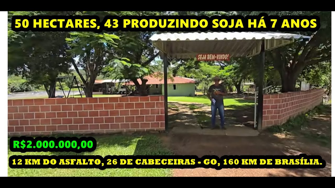 Espetacular 50 hectares, 43 produzindo soja, bela sede, rio, 12 km do asfalto, 150 do DF. 2 milhões
